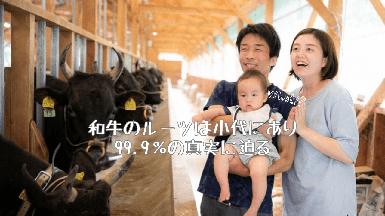 99.9％の事実‼和牛の原点を知る｜特集｜【公式】兵庫県香美町の観光 
