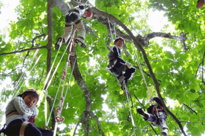 夏休みの自由研究は香美町旅行で完成！