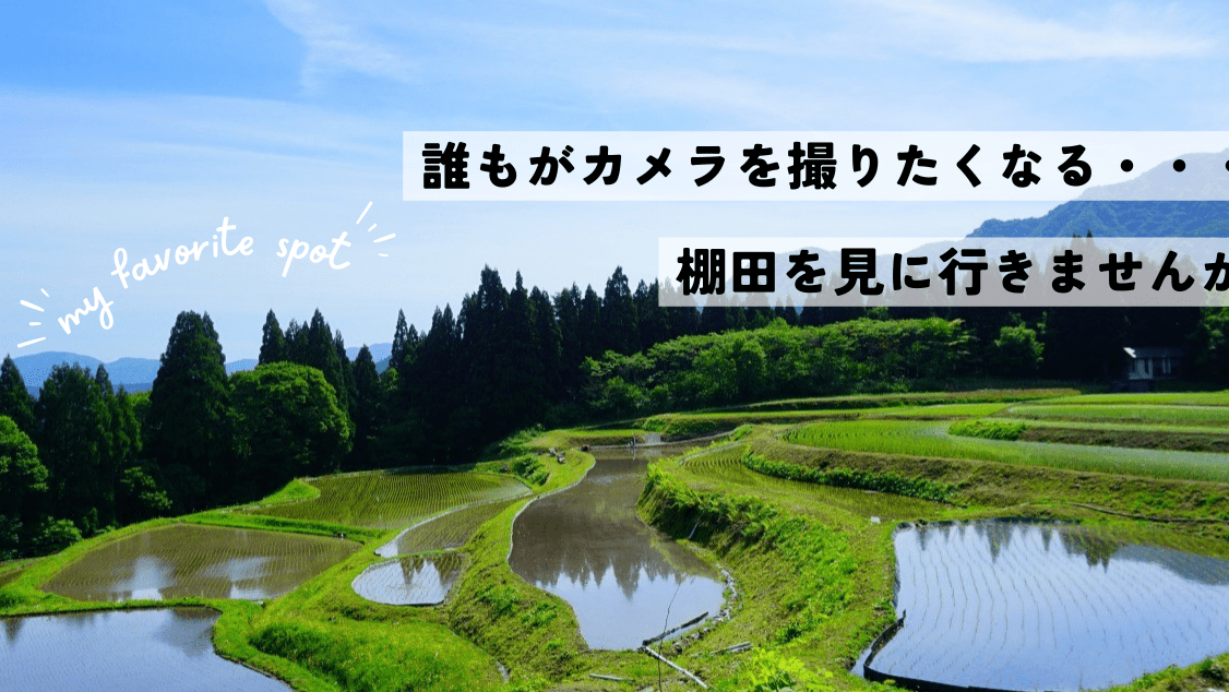 誰もがカメラを撮りたくなる・・・棚田を見に行きませんか