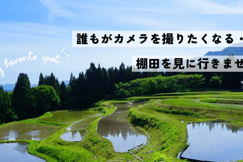 誰もがカメラを撮りたくなる・・・棚田を見に行きませんか