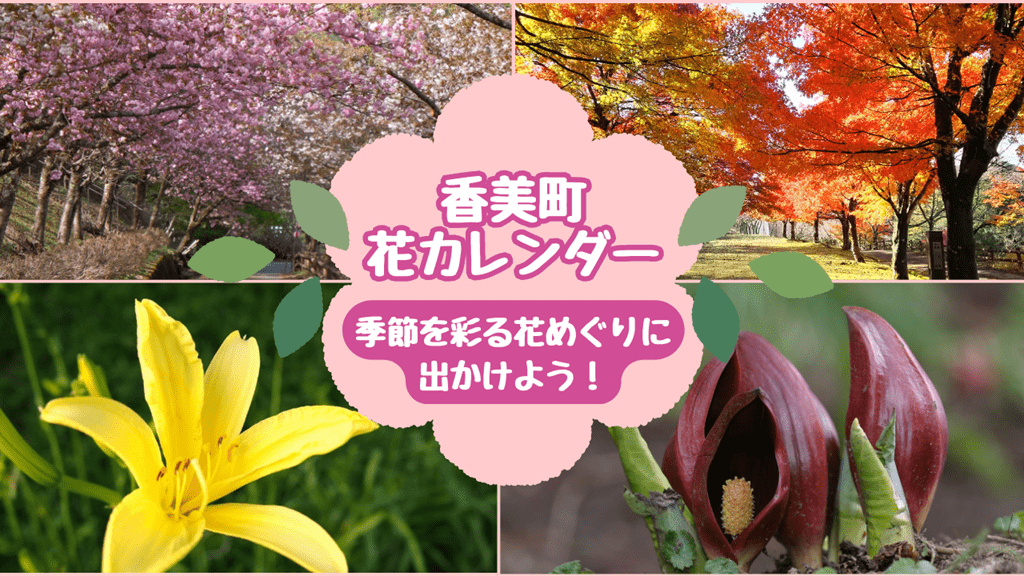 香美町　花カレンダー