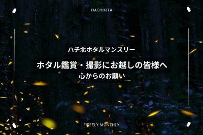 ホタル鑑賞・撮影にお越しの皆様へ｜守っていただきたいマナーとルール