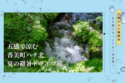 【大阪から2.5時間】まだ誰にもバレてない涼世界へ。五感で涼む「香美町ハチ北」夏の避暑ドライブ旅