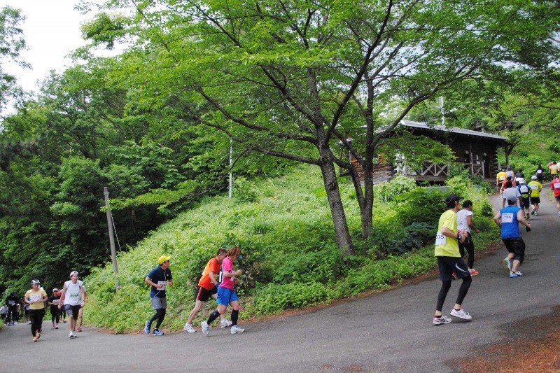 みかた残酷マラソン