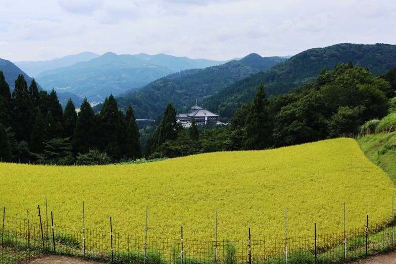 昔と変わらぬ絶景