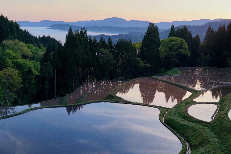 うへ山の棚田