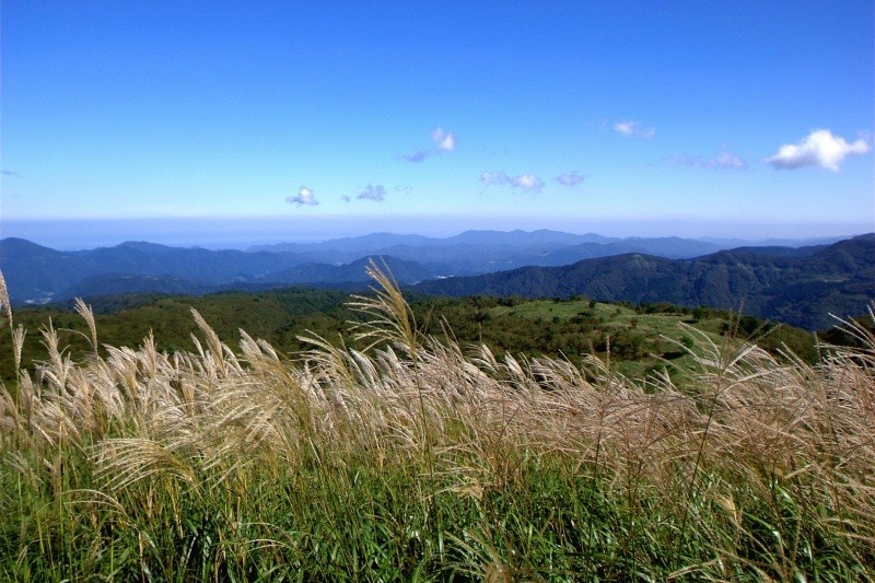 上山高原（兵庫県新温泉町）