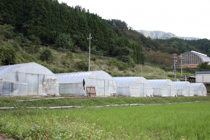 小代の雄大な山々に囲まれた自然豊かなすっぽん養殖場