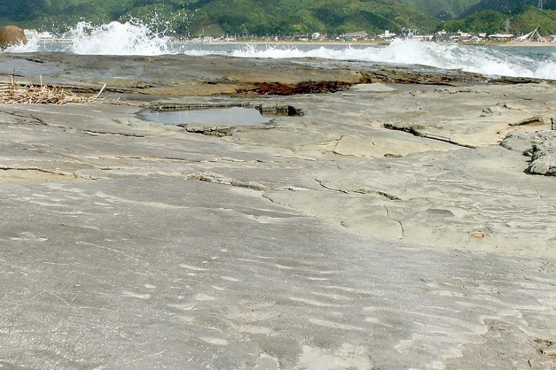 下浜の動物足跡化石