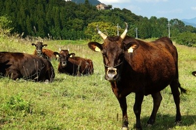 伝説の廃村になった村「熱田」