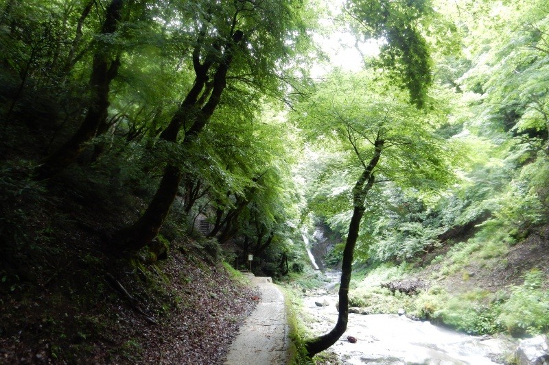 日本の滝百選猿尾滝