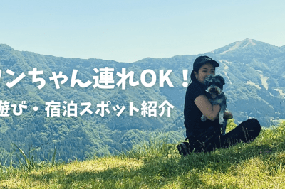 ワンちゃん連れOK！遊び・宿泊スポットあります