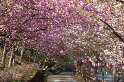 お花見するならここ！