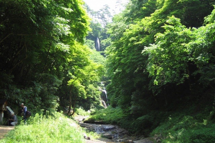 【自然に癒される】田舎と自然でリトリートプラン（日帰りコース）