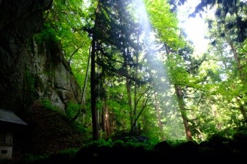 【関西発】マイナスイオンを浴びる旅（1泊2日）