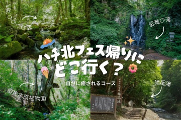 【自然に】ハチ北フェス帰りに名スポットに寄り道♪【癒される】