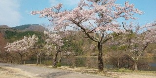 けび大池公園