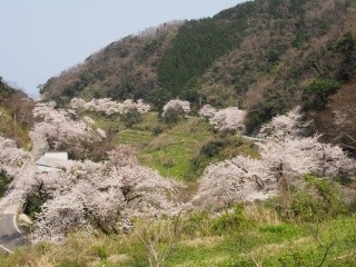 余部埼灯台