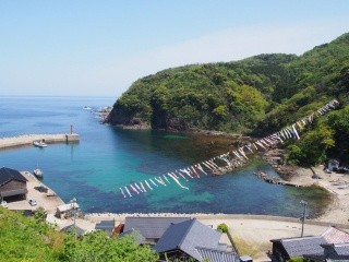 鎧地区の海を泳ぐこいのぼり