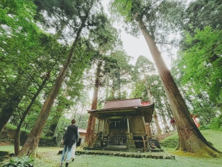 【GW限定】家族で楽しむ香美町 日帰り満喫モデルコース