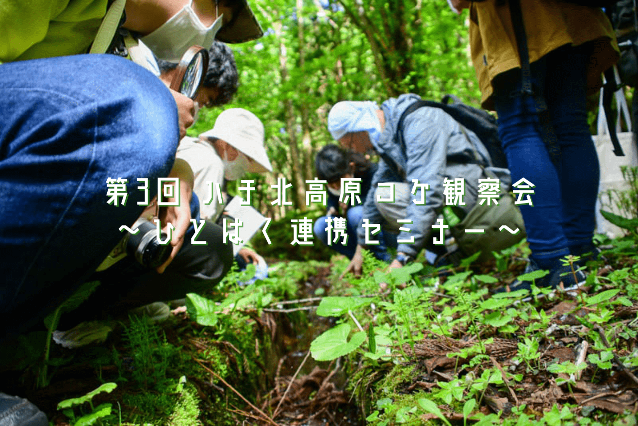 香美町観光ナビ -兵庫県香美町公式観光サイト-