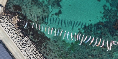 鎧地区の海を泳ぐこいのぼり