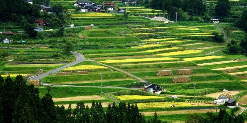 【公式】兵庫県香美町の観光・旅行情報サイト「香美町観光ナビ」