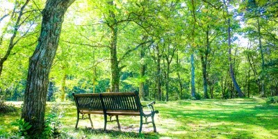 新緑の爽やかな「たじま高原植物園」