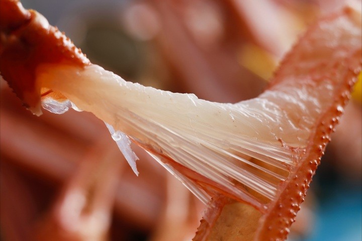 【冬におすすめのモデルコース】冬の香美町、家族旅♪（1泊2日モデルコース）