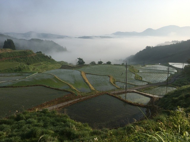 板仕野の棚田