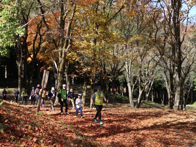 ハチ北高原紅葉ウォーキング