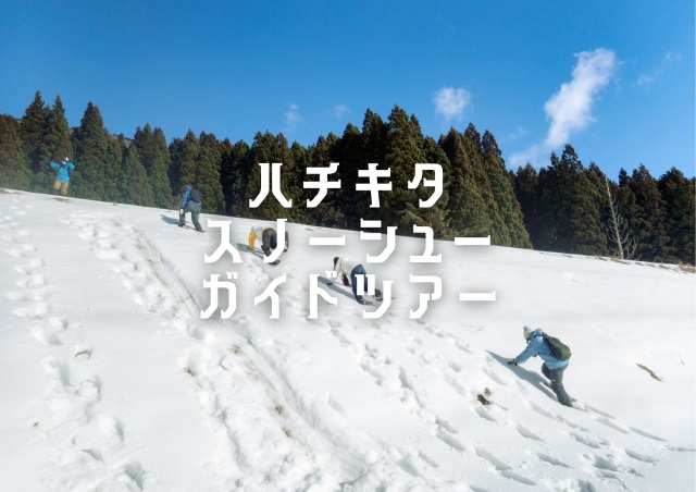 ハチ北スノーシューガイドツアー