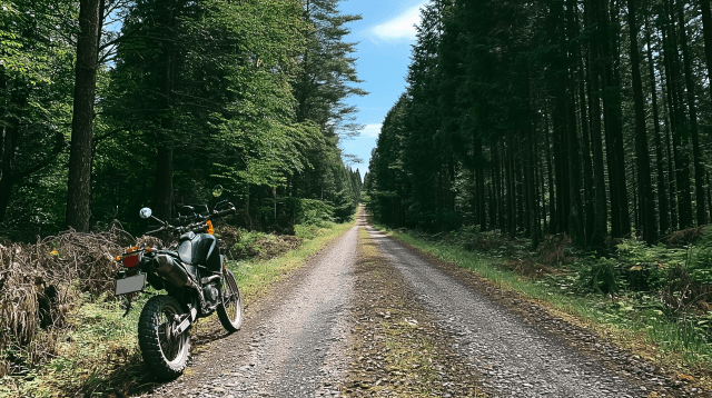 氷ノ山ストレート(瀞川氷ノ山林道)