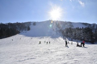 ハチ北高原