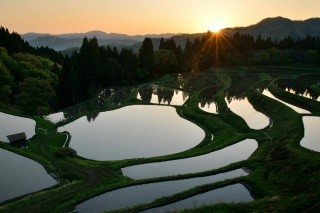 うへ山の棚田